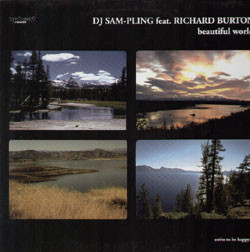 Album herunterladen DJ SamPling feat Richard Burton - Beautiful World
