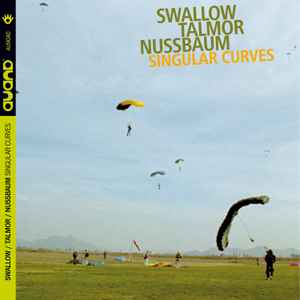 Steve Swallow - Singular Curves  album cover