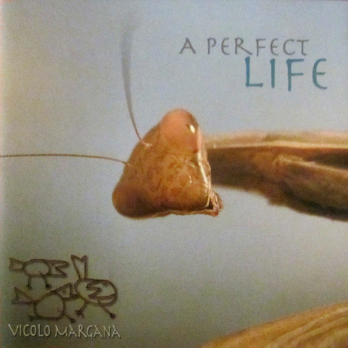 télécharger l'album Vicolo Margana - A Perfect Life