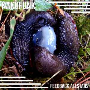 Kakofunk - Feedback Allstars album cover