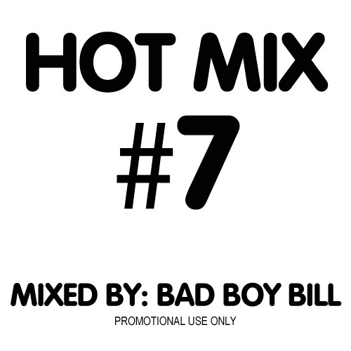lataa albumi Various - Hot Mix 7