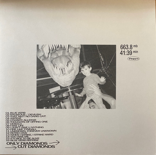 Vegyn – Only Diamonds Cut Diamonds (2020, Vinyl) - Discogs