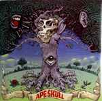 Copertina di Ape Skull, 2013, Vinyl