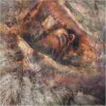 Converge - Unloved And Weeded Out | Releases | Discogs