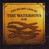 The Waterboys - The Secret Life Of The Waterboys 81-85