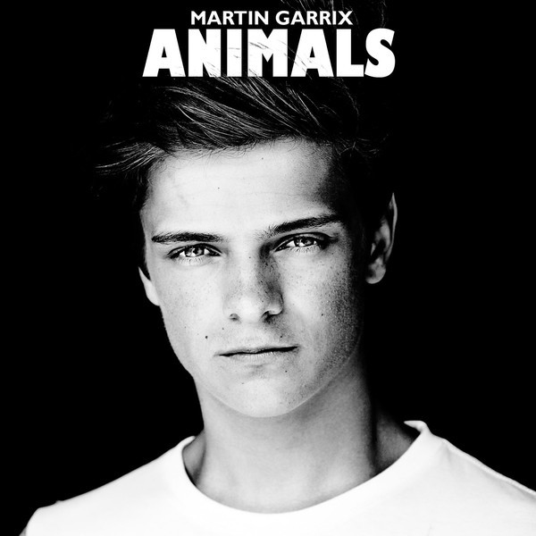 Martin Garrix - Animals | Releases | Discogs