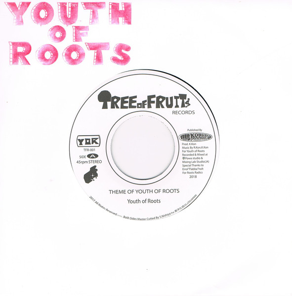 【直売値下】Theme of Youth of Roots レコード 邦楽