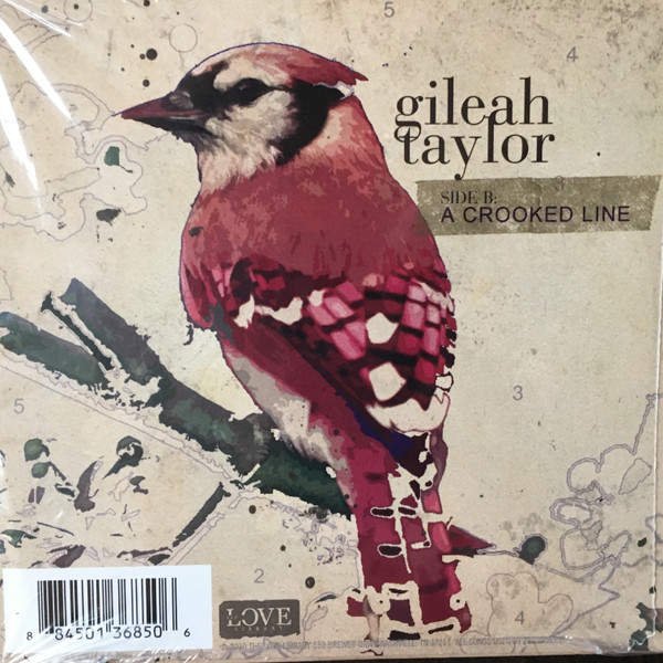 ladda ner album Gileah Taylor - What Kind Of Fool A Crooked Line