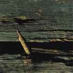 Cover of 13: Netherregions, 2001, CD