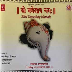 Anuradha Paudwal - Aarti music | Discogs