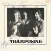 Trampoline (3) - Just A Little Mistake