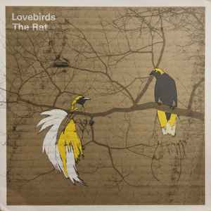 Lovebirds - The Rat