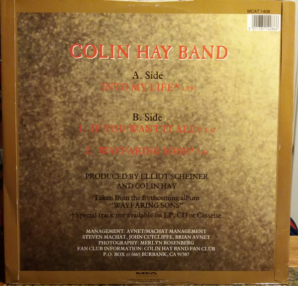 Colin Hay Band - Into My Life (Legendado em português)