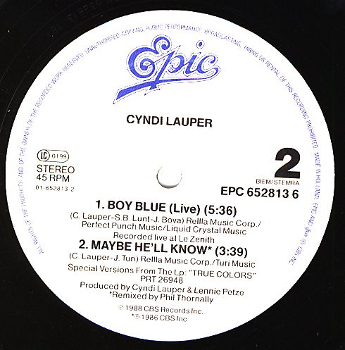 lataa albumi Cyndi Lauper - Hole In My Heart