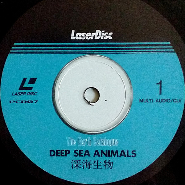 Deep Sea Animals