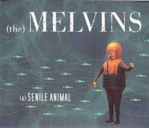 (A) Senile Animal - (The) Melvins