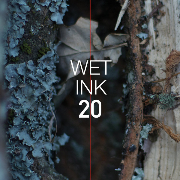 baixar álbum Wet Ink - 20
