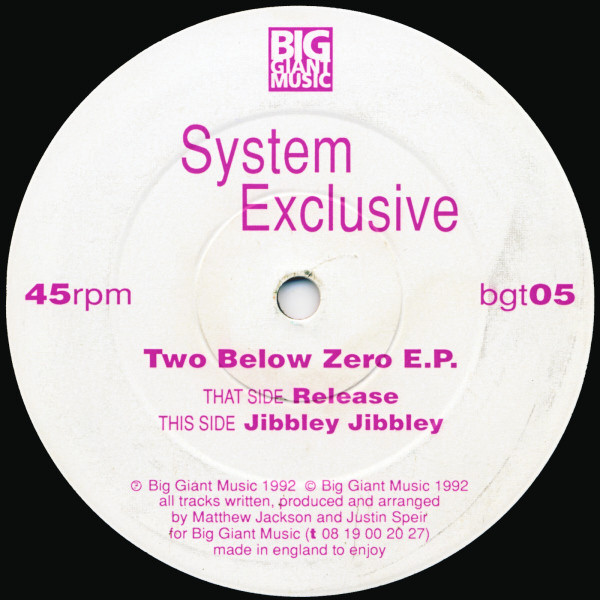 télécharger l'album System Exclusive - Two Below Zero