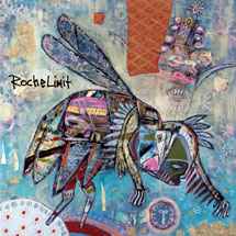 Roche Limit - Sometimes We Must Change Shape album cover