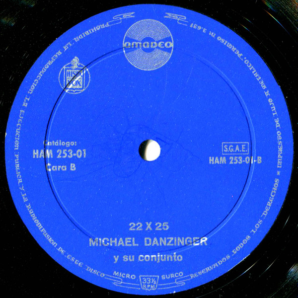 télécharger l'album Michael Danzinger Y Su Conjunto - 22 x 25