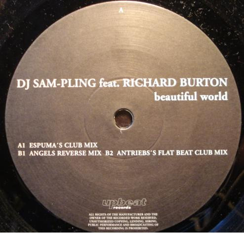 descargar álbum DJ SamPling feat Richard Burton - Beautiful World