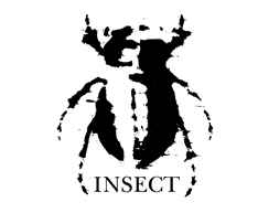 Insect (6)
