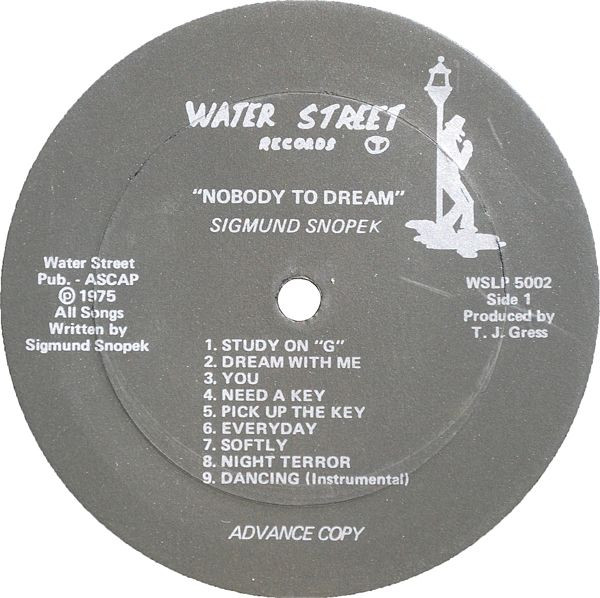 last ned album Sigmund Snopek - Nobody To Dream
