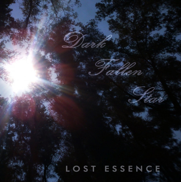 ladda ner album Dark Fallen Star - Lost Essence