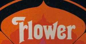Flower (2) image