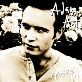 Adam Ant - Extra Wonderful album cover