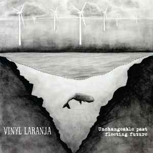 Vinyl Laranja - Unchangeable Past, Fleeting Future album cover