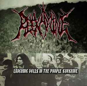 Reexamine - Laughing Dolls In The Purple Sunshine album cover