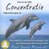 Rob van der Wilk - Concentratie (Hypnotherapie CD)