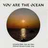 Schawkie Roth - You Are The Ocean