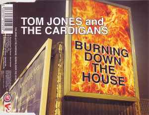 Tom Jones - Burning Down The House album cover