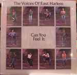 Cover of Can You Feel It, , Vinyl