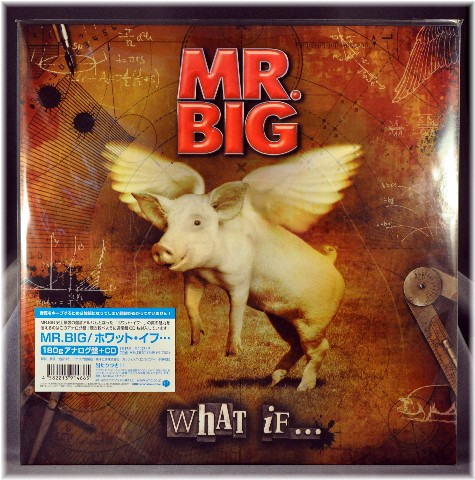 Mr. Big - What If | Releases | Discogs