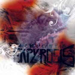 Ekpyrosis – All You Can Eat (2008, CD) - Discogs