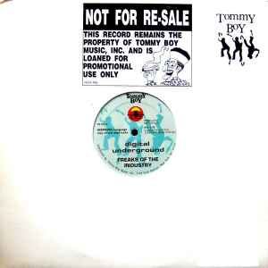 Vintage 90's Hip Hop Vinyl Collectible Classic Hip Hop 12 Vinyl Digital Underground Freaks Of The Industry Record Bowl