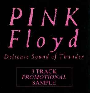 Pink Floyd - Delicate Sound Of Thunder Vinilo