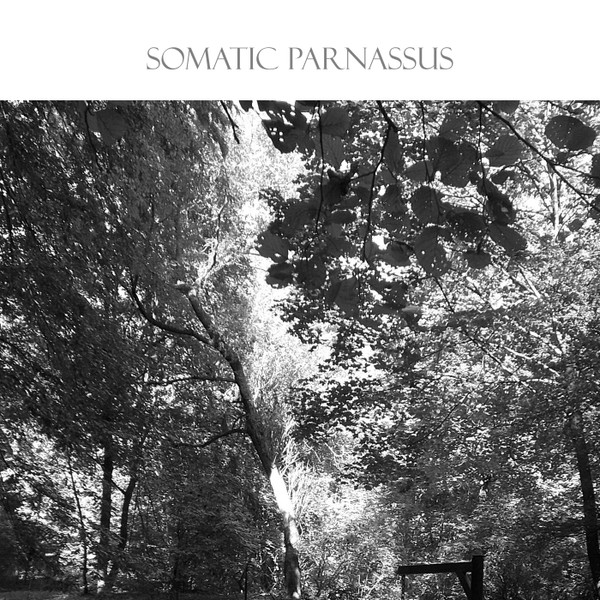 ladda ner album SurrogateSigma - Somatic Parnassus