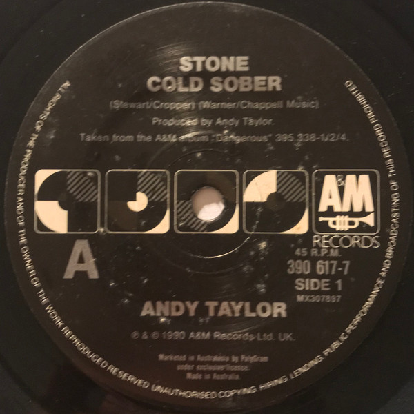 ladda ner album Download Andy Taylor - Stone Cold Sober album