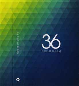 Circuit Bloom - 36