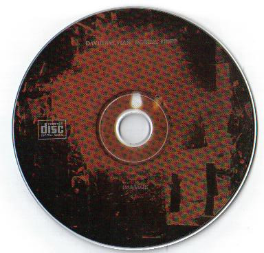 baixar álbum David Sylvian & Robert Fripp - The Road To Graceland