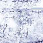 Cover of Valis, 2002-02-11, CD
