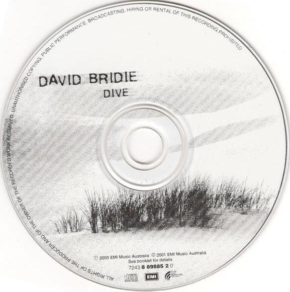 Album herunterladen David Bridie - Dive