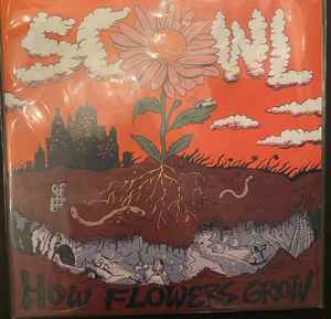 Scowl 4 - How Flowers Grow album cover