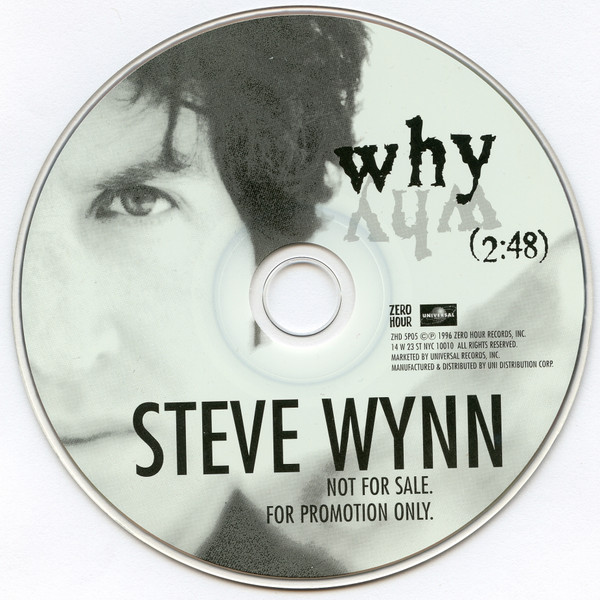 baixar álbum Steve Wynn - Why