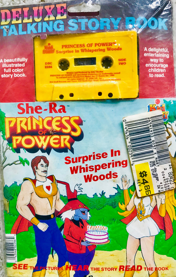 télécharger l'album Masters Of The Universe - She Ra Princess Of Power Surprise In Whispering Woods