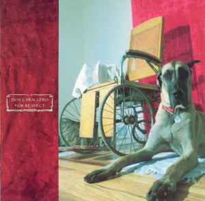 Don Caballero – American Don (2000, Gatefold, Vinyl) - Discogs